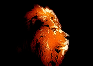 2019-06-27/8099eaf12fc0bd3ce3a3fc37b24b7ef3_456d26126d292532b8059e8755b7fb1c