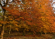 2019-06-27/8a8654a1fae356fc954f0426769fcae1_9b3aeeaec890fa1bf086e680740acd83