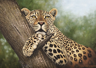 2019-06-27/8ed94be05274922144bd5746635c100c_958c8f7226eb6036d18fed4b810d85e8