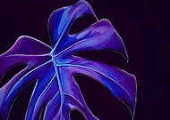 2019-06-27/b049173d95fa03e5917736dfb4b61084_c79ec2ba9cca7b9c7411158736a38b9c