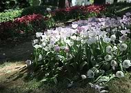 2019-06-27/bc7ad11bafa532199d3d56d938247dd1_a6eee37e833af926f51b164dc15049be