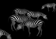 2019-06-28/1b4801cd5dcc699a973063c7657190fd_cfb64b26de84d87345a871cc2a7175eb