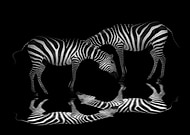 2019-06-28/605aed24b70f890c2917d068ca229023_f3126229c11949289c263105c9fbc155