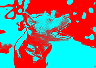 2019-06-28/d016a437ea2688aaa9862081378e070e_81e30a062c92ea15391a990b83bc08bf