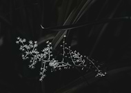 2019-06-29/30ad8bb988e6c33843ef2283c6a8e4d7_d10a33e9886d5cca9513f5872cfa325b