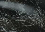 2019-06-29/be1fdb4ac16c911235c69f6406e06020_061bddc17dcee9a0eb59890d98bb699c