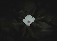 2019-06-29/ebfc0166e7848dec67ca033032343397_24c46ff939e4a3b181d4f2b36454550c