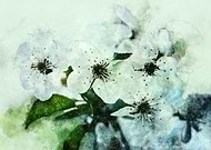 2019-06-30/709934abb80fb3bc8c30b604f3b0b23e_288b7ad0d6a6a3fde198ec61718ff0ca