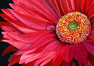 2019-06-30/7838af172fd0387372ec16dbea4ce142_32e7511753bb3558113c941ab208037b