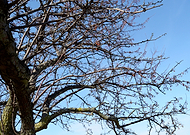 2019-06-30/9832802f17a32c5687f2e59425fa4973_43b05a2283a95069e88de3a50ce510c3