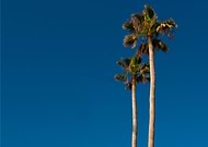 2019-06-30/b5f84167de6734c336fd514f3f28d286_5521e35465cc3da6a1bd9e7b73e82218