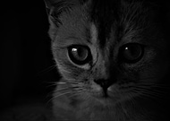 2019-06-30/f4825bdac5da19fd709428ec2b1d2591_acc6a9bc063b8cfb7a5e36840e04253c