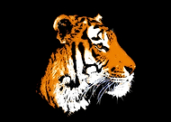 2019-07-01/4f8e856e8b1cb5fd8205720899be4cd7_a1f38b527ec7065a6c37f9c98e64dd41