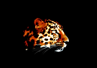 2019-07-01/5ea129bfe1f6dea47359cf1113a487a7_64315827b3f62caaffe268c319f02f95