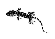 2019-07-01/f40ab368f0d19867f590a4555f3f53ed_8ee7fd8ad6ca0b883c6bbebe8c989f5d