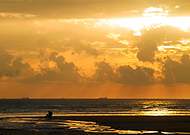 2019-07-01/fa688e6cfd07b1658990548fe1da83ea_97cd7ebb6e3bff8e9f8d6b5139dfcebb