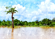 2019-07-02/5bca7601d744c69e90374a2b9c162866_344abdbe796d641c494d56e55853e890