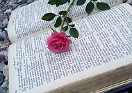 2019-07-02/6394ba0cee3153714942c577b3a2de42_e339f12413ba1a89c3cedf3190a34522