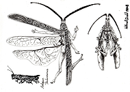 2019-07-02/67635773a7c807c3d779b737d3651702_820972ee3cbf6bf7865aad1fefe6a239