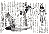 2019-07-02/9e6a6cefeea16635b743f6d80cd2cd65_23a19c1a173840cbd27ef98690c24a36