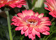 2019-07-02/b0d286d020489c84b28840ba77075291_aff2783c96f00170e3a069d673f54094