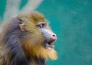 2019-07-02/f9c2446e40da8d0bc890d6e683e81d9c_730fb2f1c37f86dea5b2073989bb6837