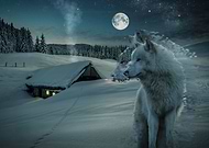 2019-07-03/423156c6b3fc593570a5ef66d92deeb7_bae5002e0b4c8dcc89736f84668986e4