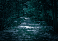 2019-07-03/4a7fba97a8a06d5895cf34c9ea4520e1_eaa654d07e09aa84cd4ef7e578eee2fc