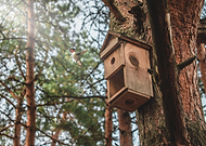 2019-07-03/5f70172a084aa5fda87b925b2234ed9b_47008895e2725926a9ab9e6e6a1da267