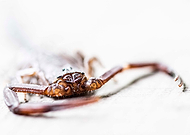 2019-07-04/142dc10c48a496d896ad0f165e0f4ce5_3754f5617ca9faa2ef71c943e736c012