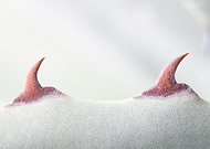 2019-07-04/53b5ddc3ee4a3117942ec28ae90e22b7_d2bb7fc752d88883a8a9e05d9ae75dcf