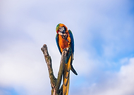 2019-07-04/82792e8bcf072d2864b20ca0d5811ba1_981bbefc82a3f8729d2a9a621efa2467