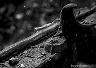 2019-07-04/9a54b35b87bab57146cccaee54c4bc62_a64c522758832b088e58ea2844c2bbe7