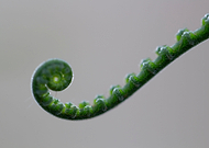 2019-07-04/ac7e11b89c61898114f0f5e8704bb57c_f1de952c2c4f29ef56f70c749cb02679