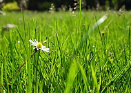 2019-07-04/ca6091cd68abbff7c0329efb17275db0_becb1e0c00e3f1d32596d821f05702dc