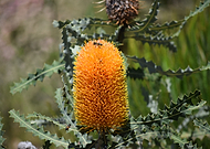 2019-07-06/02484161eb8e4f95921714170df917af_eb46f568eb7ba3d2c18f056688cbb963