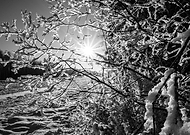 2019-07-06/289d10660ca981b79956bbefb713a251_807727aacd8f386375876828a565b061