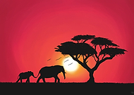 2019-07-06/29b9c3455bdea828a5002136985b37da_f53e5cd97c4f05e2de1537aeafa84159