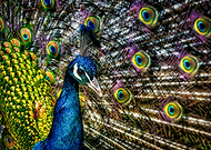 2019-07-06/35e7c12ce759fc33cb3e34376cb5a5d3_5a46fcdcedcb862229d9a2c31d87605f