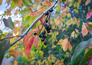 2019-07-06/3db944f3dcd10788a168414de128cae3_d86cca9a7ee79902f322d532844d7e2e