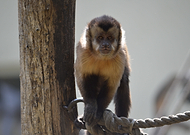 2019-07-08/581d34844e25b6342649e8008f827b0c_4976228e9537e2b31cff362255b98398