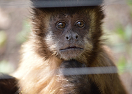 2019-07-08/613b27c6116ca8c9755dabd04c40e30d_320a5d2c704f177f14999e4cd7793564