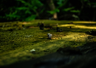 2019-07-08/a006579173ddc2c0c263ca039bcede0c_f896b661fe077be2bf172e86f4869575