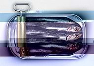 2019-07-08/d23426ef57792db6a94a3686582e006a_af4e4dc9b2b08f266f38396704a57239