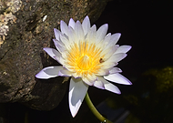 2019-07-09/3e4aca7a626bd6822f3d35ab96531c0d_d30b773e99e2ccc234a7f5f59c6a4945