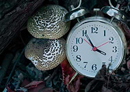 2019-07-09/4bfc3ab7ac30a2e39a875ab00af39885_7e738a9dd50c4fd95eaceaa95ad5e3a9