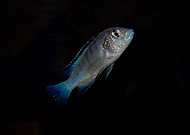 2019-07-09/6b21821b996ae0a762ccae88365f60ff_f9616f631eb8ab0ccc7ace4755ad9a85