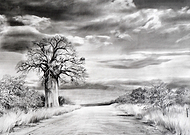 2019-07-09/9da0fdaad8975b45f7574f3887d5e545_e8a1dd42fc28062d9721e072a5897298