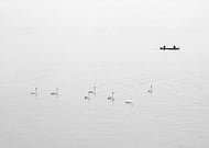 2019-07-10/2402f60286b6d46cc5f5372d917bddfb_c8d270d6e19db07ab117e0e2ead07cf9