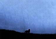 2019-07-10/c0af7167353af8a7d151f4dc053e1778_21ccf4f43fded83803f7b6d1e7a2ecfc